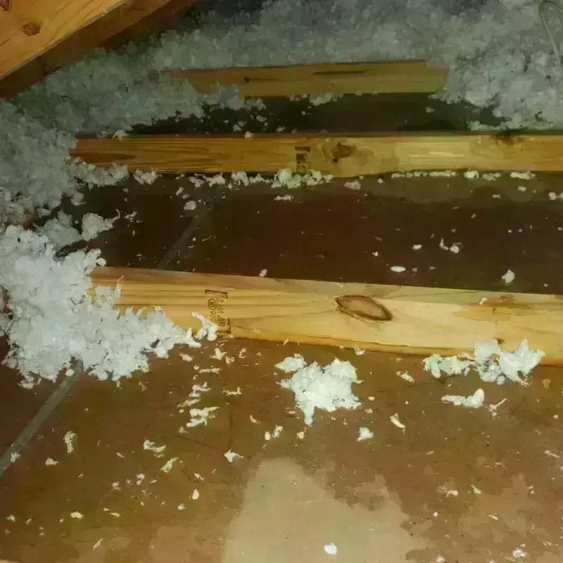 Attic Water Damage in Essex County, VT